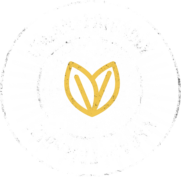 Badge 6
